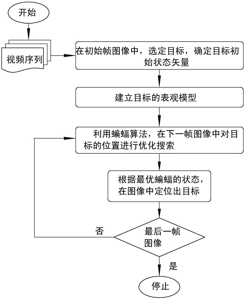 Video object tracking method based on bat algorithm