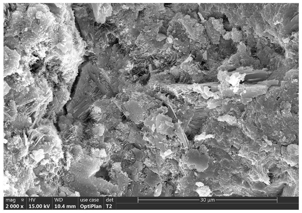 Cement reinforcing agent suitable for deepwater low-temperature environment, preparation method thereof and cement paste system