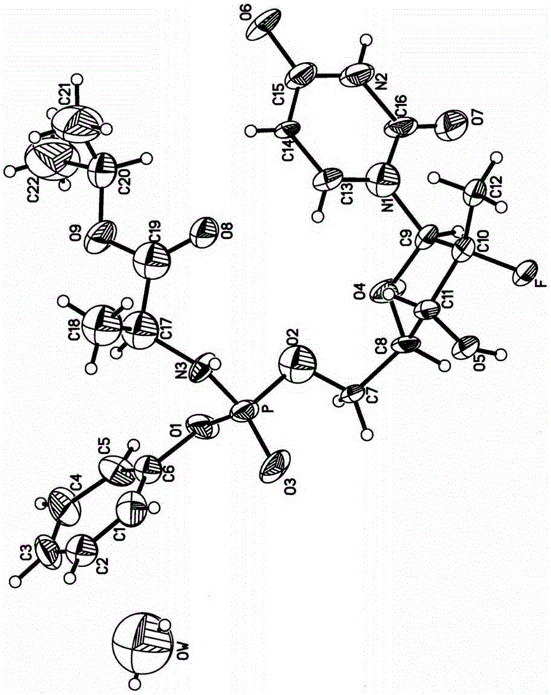 Crystal forms of sofosbuvir and preparation method of crystal forms