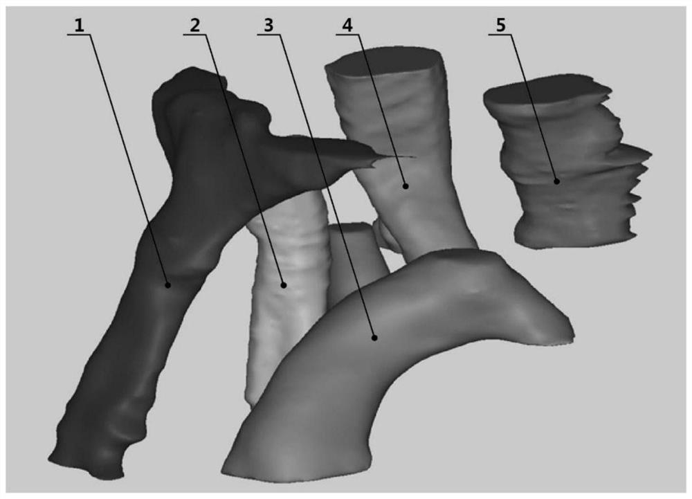 Parametric modeling method of ascending aorta, aortic arch and its three branches