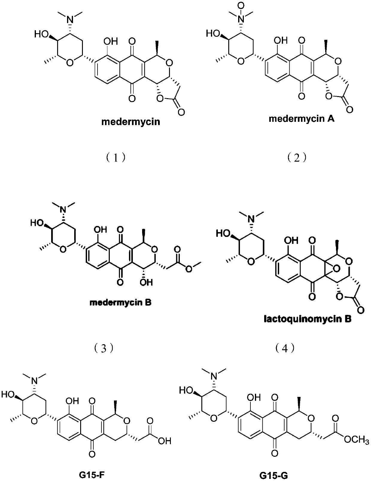 A kind of metamycin compound and its preparation method and application