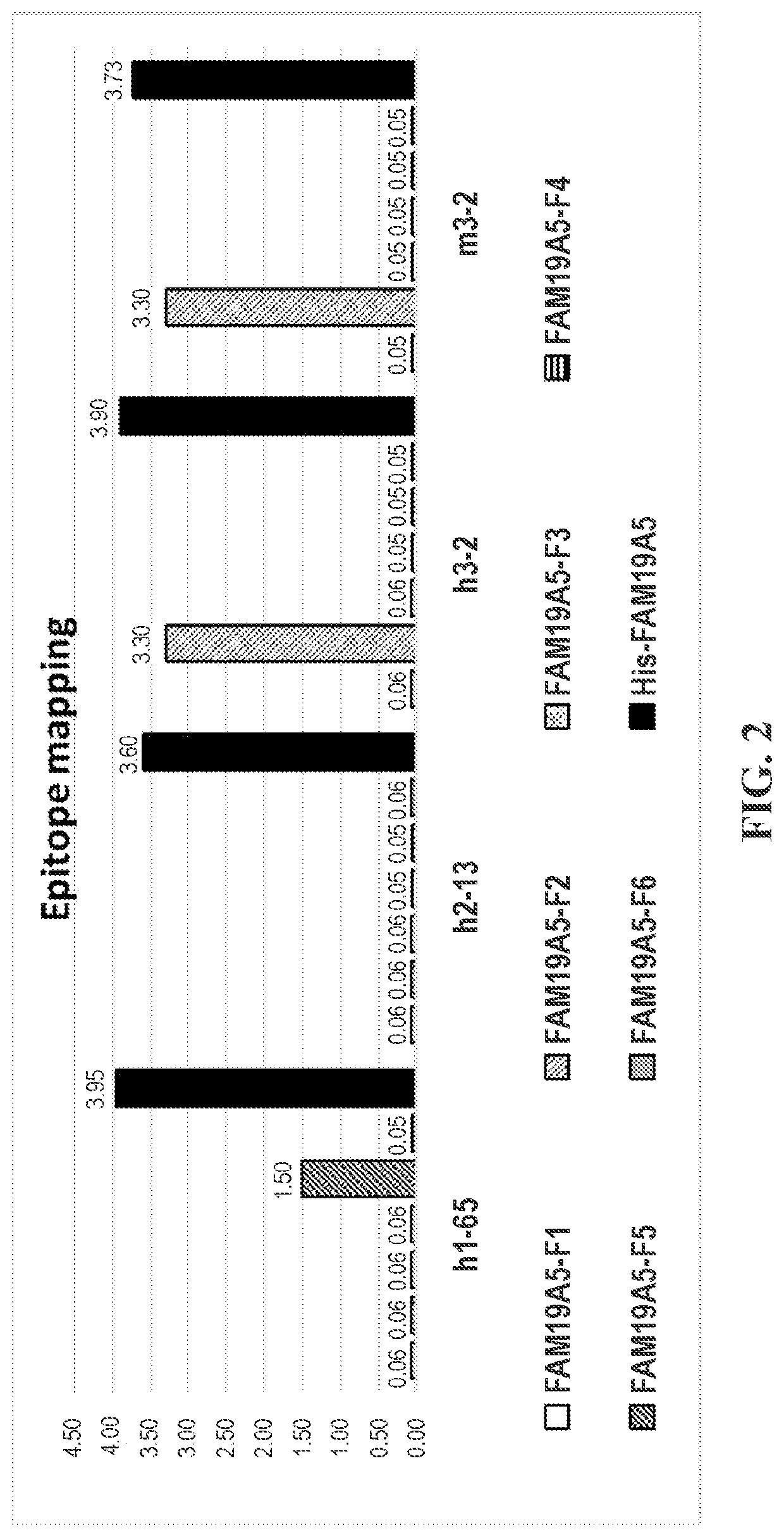 Anti-fam19a5 antibodies and uses thereof