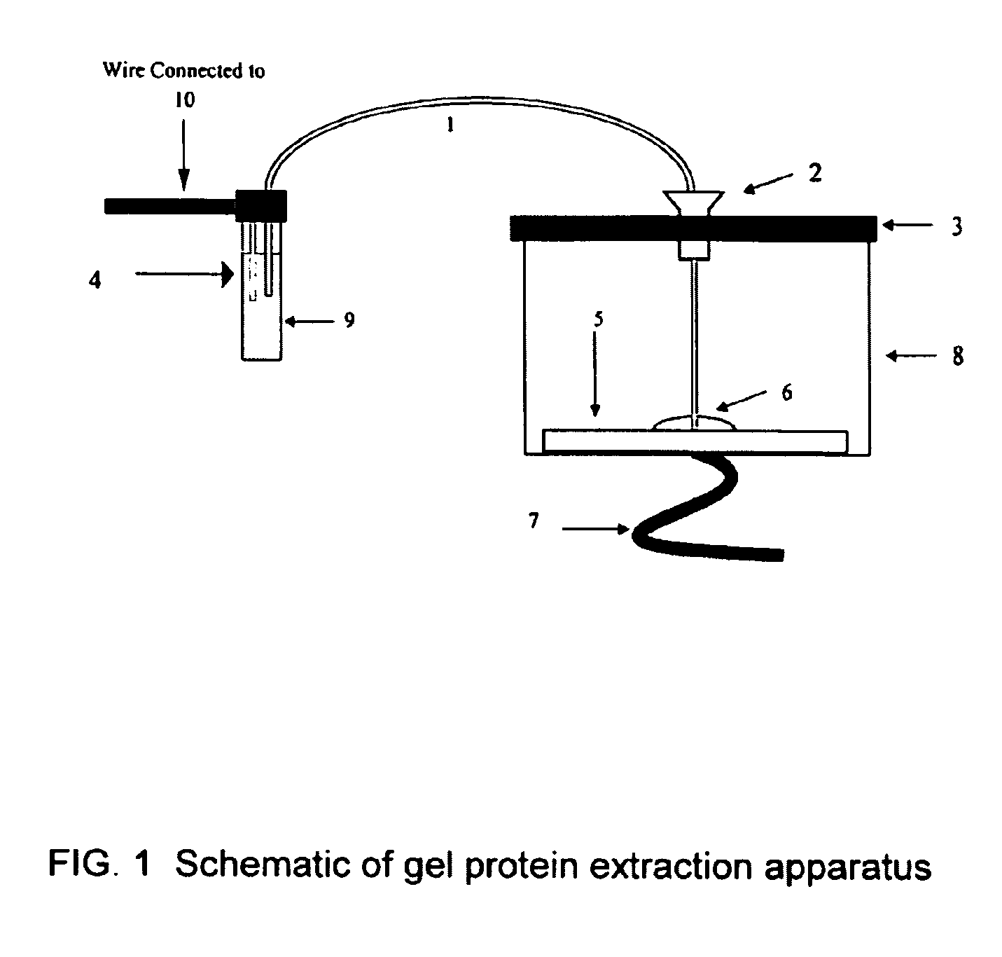 Microfluidic apparatus for performing gel protein extractions and methods for using the apparatus