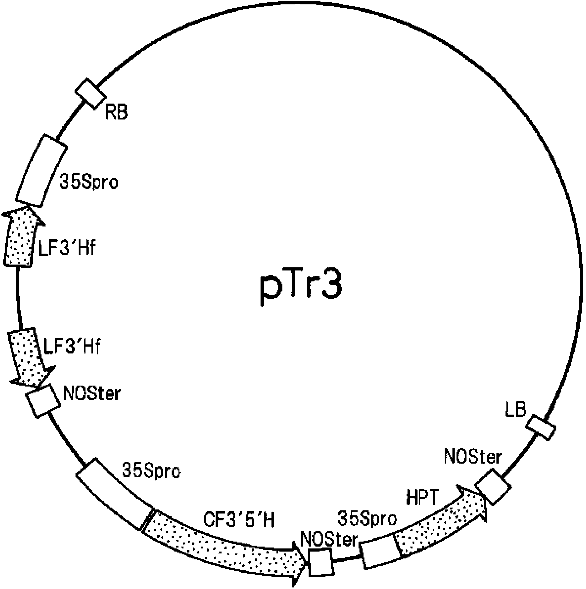 Method for cultivating lilies containing delphinin in the petals