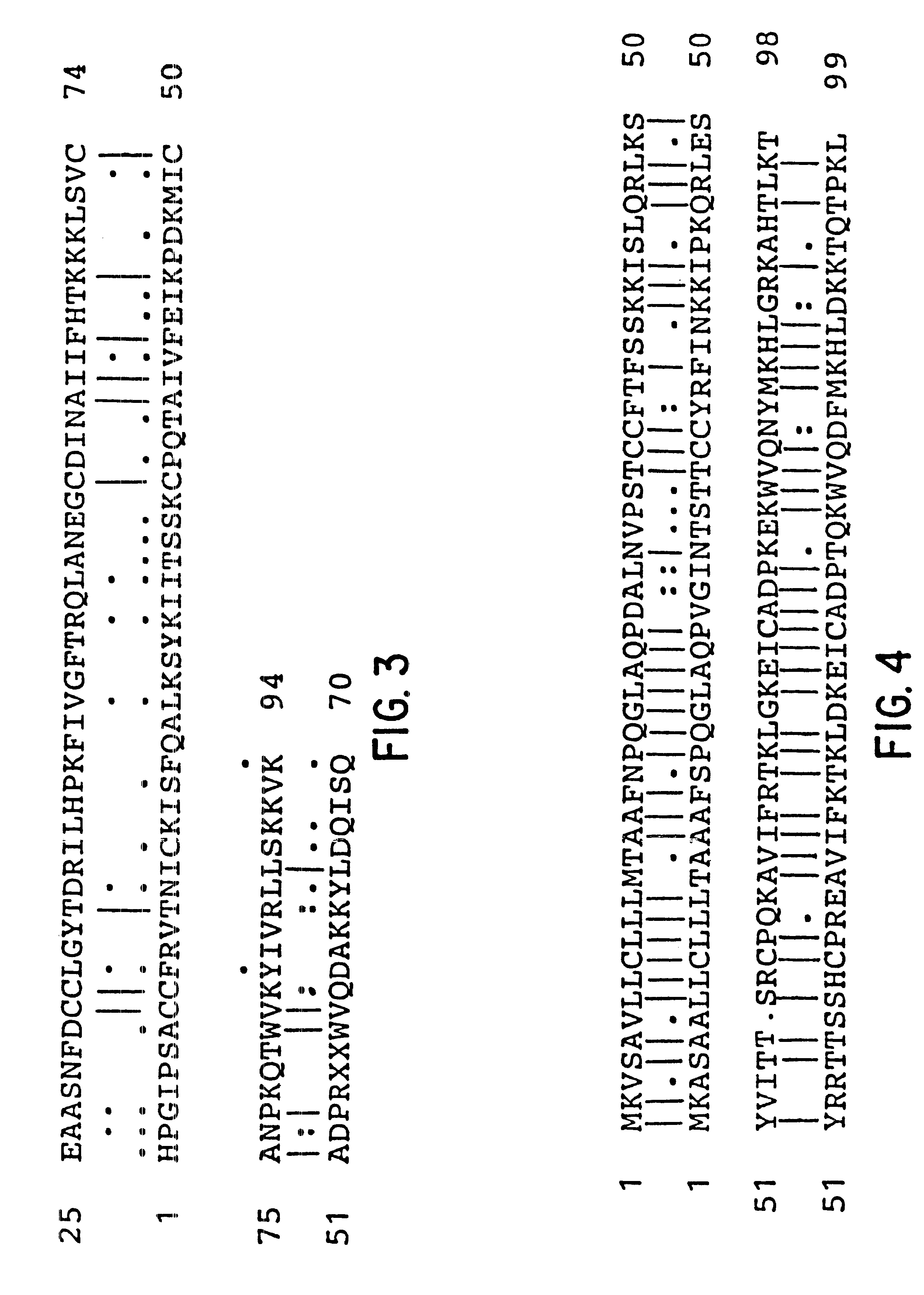 Human chemokine beta-10 mutant polypeptides