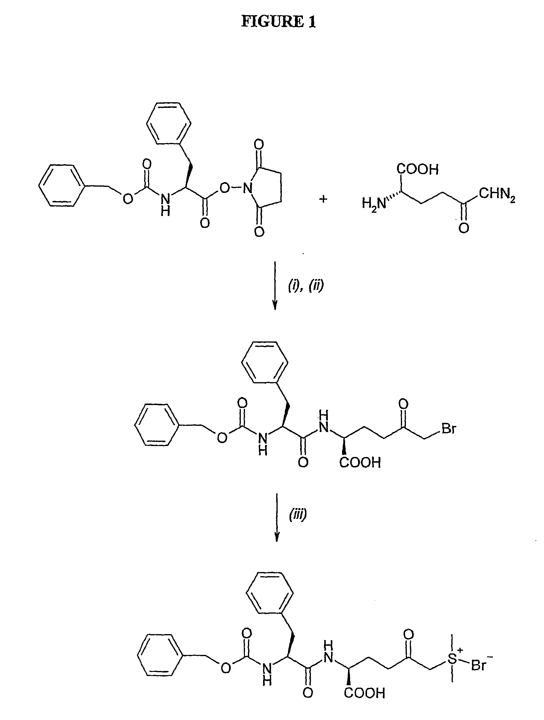 Novel Compounds and Methods of Using the Same