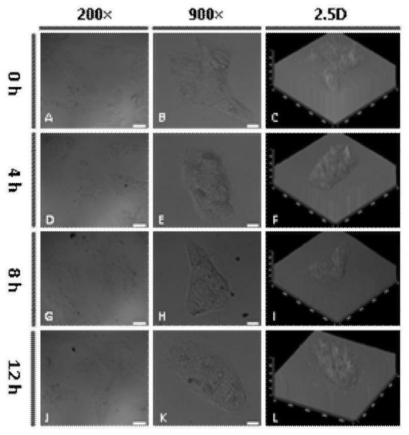 Construction of a ligand-gated diagnosis and treatment system and its application in real-time tumor response