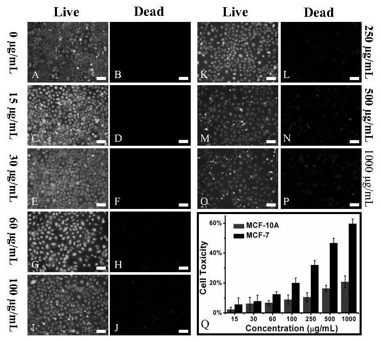 Construction of a ligand-gated diagnosis and treatment system and its application in real-time tumor response