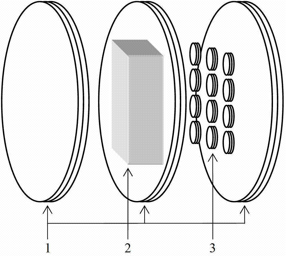 Device and method for non-contact magnetic induction impedance plane projection imaging