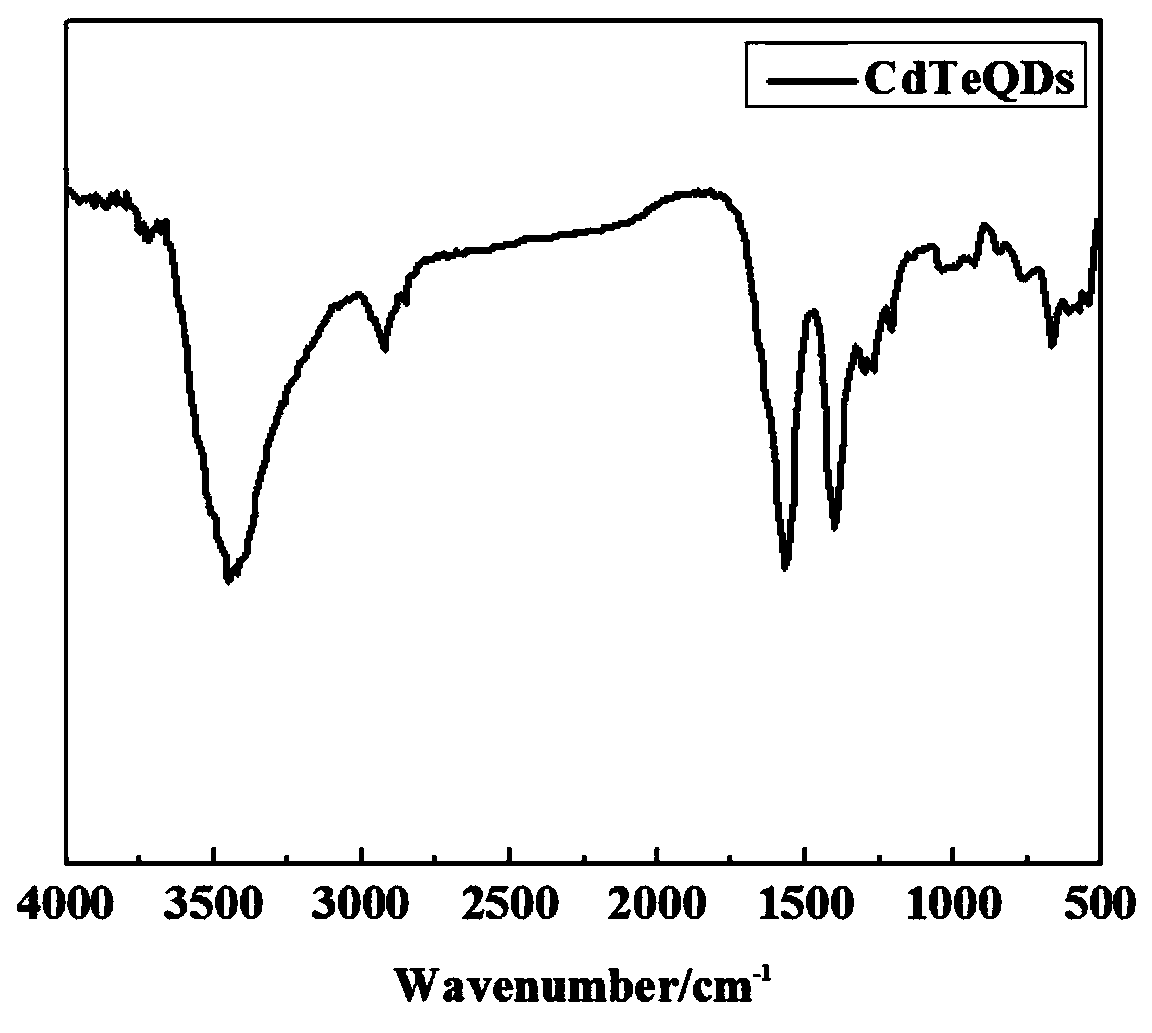 Method for determining isoniazid by using quantum dot fluorescence quenching method