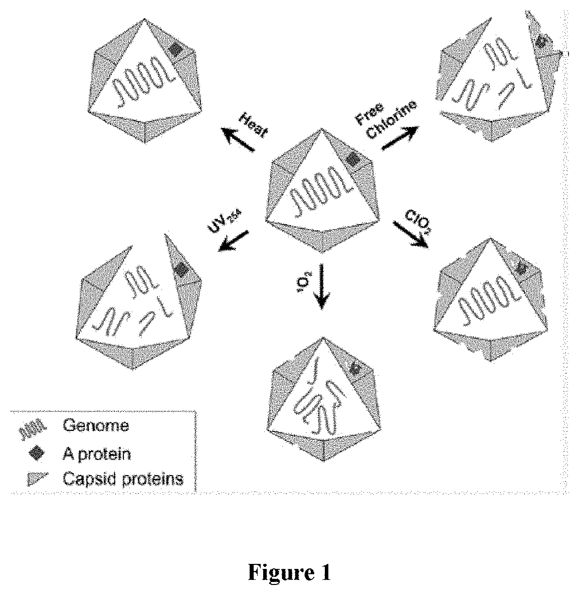 Pharmaceutical composition of chlorine for treatment of respiratory viral infection