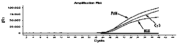 Human MTHFR gene polymorphism detection kit