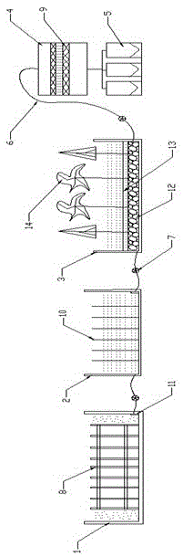 Domestic sewage purification device