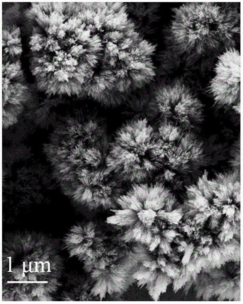 Preparation method of super-hydrophobic magnetic sponge