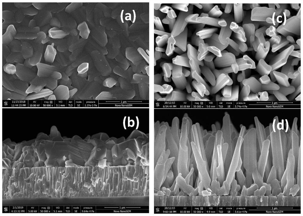 Flexible antimony selenide solar cell and preparation method thereof