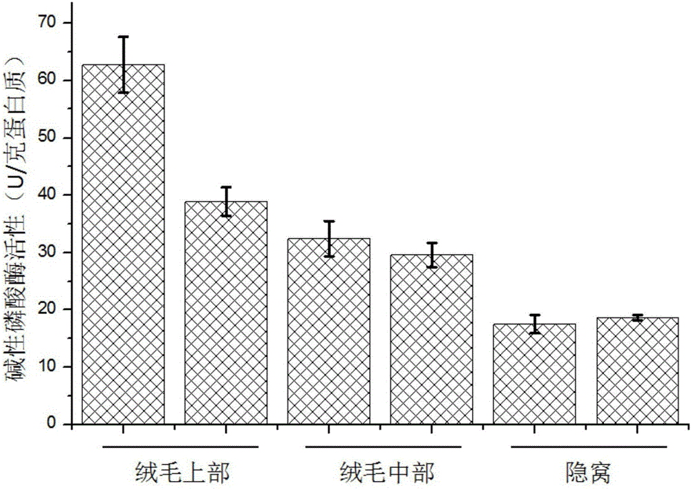 Piglet small intestine epithelial cell classification and separation method