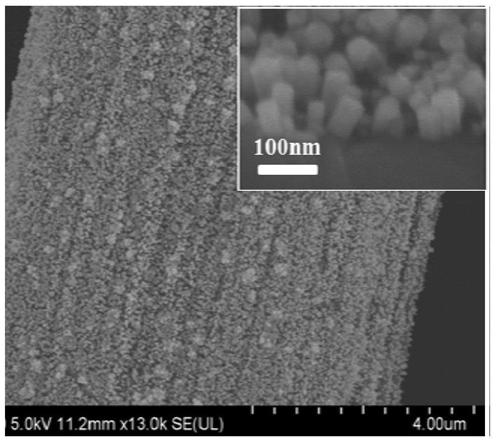 Preparation method of a single crystal porous cobaltous oxide nanorod array