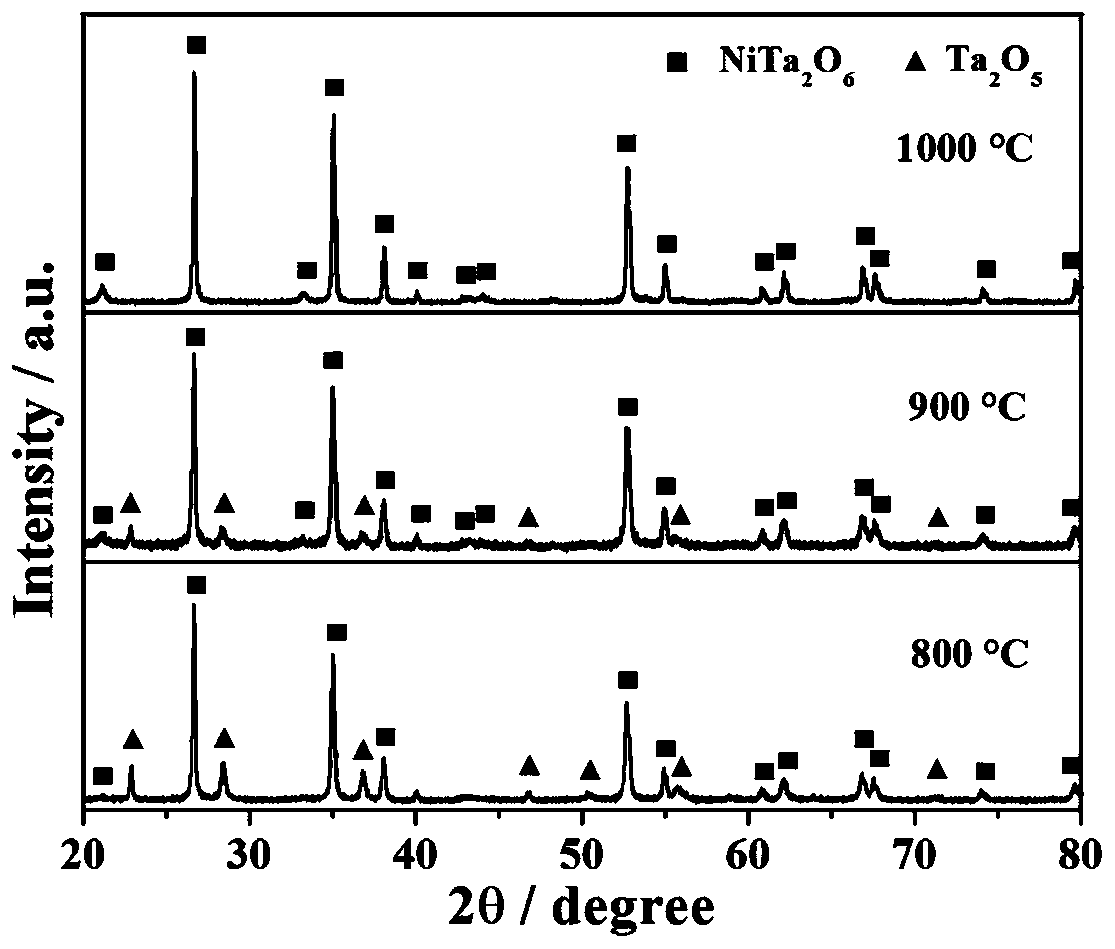 All-solid-state acetone sensor taking NiTa2O6 as sensitive electrode for diabetes diagnosis and preparation method of all-solid-state acetone sensor