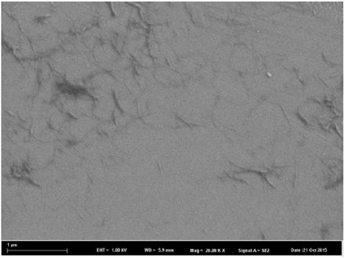 A kind of preparation method of moso bamboo cellulose-based nano oral drug carrier