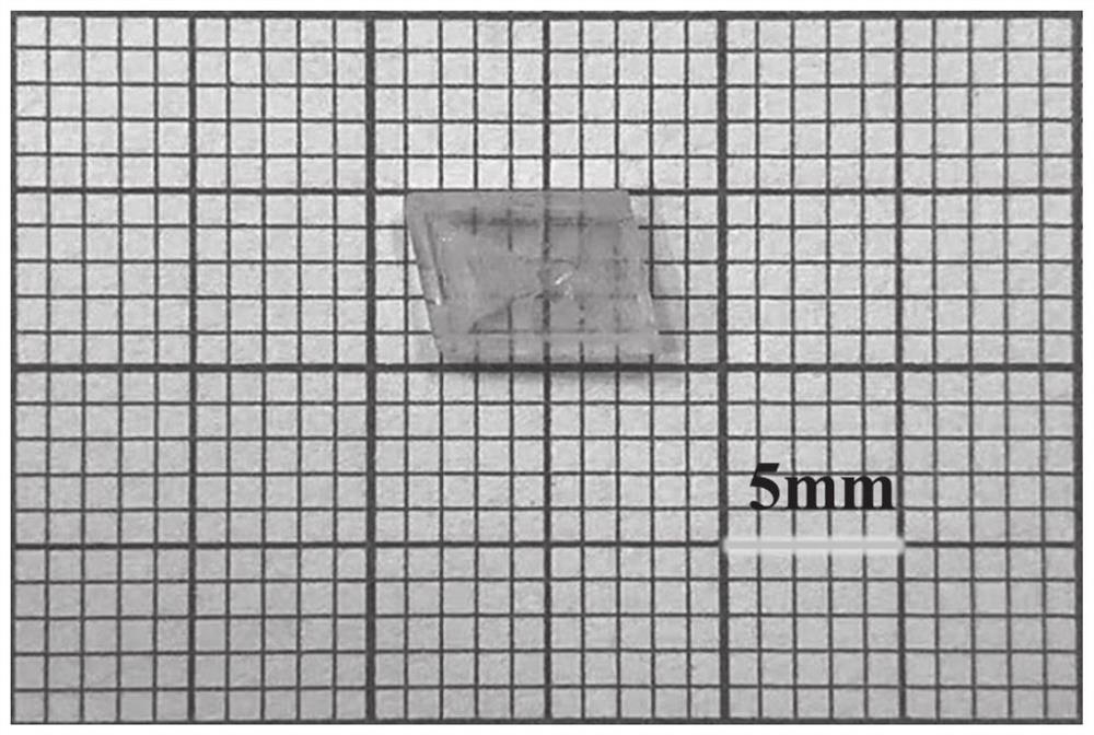 Preparation method and application of organic-inorganic hybrid lead-free piezoelectric crystal