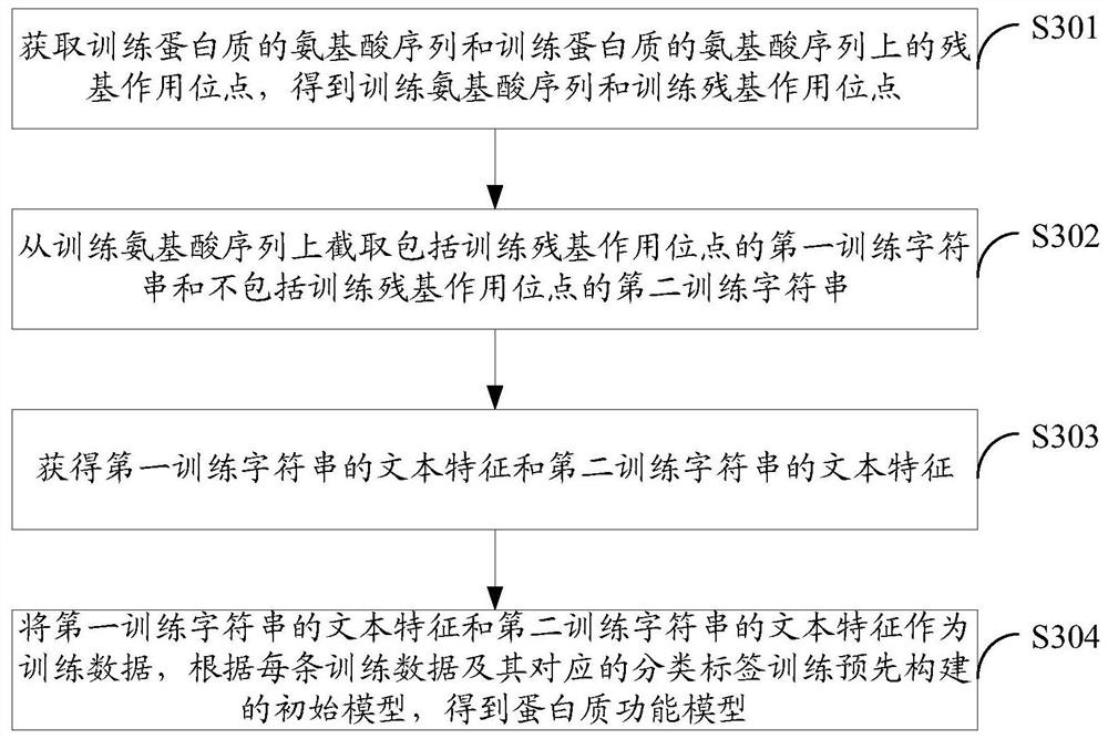 Method and device for protein feature extraction, function model generation, and function prediction