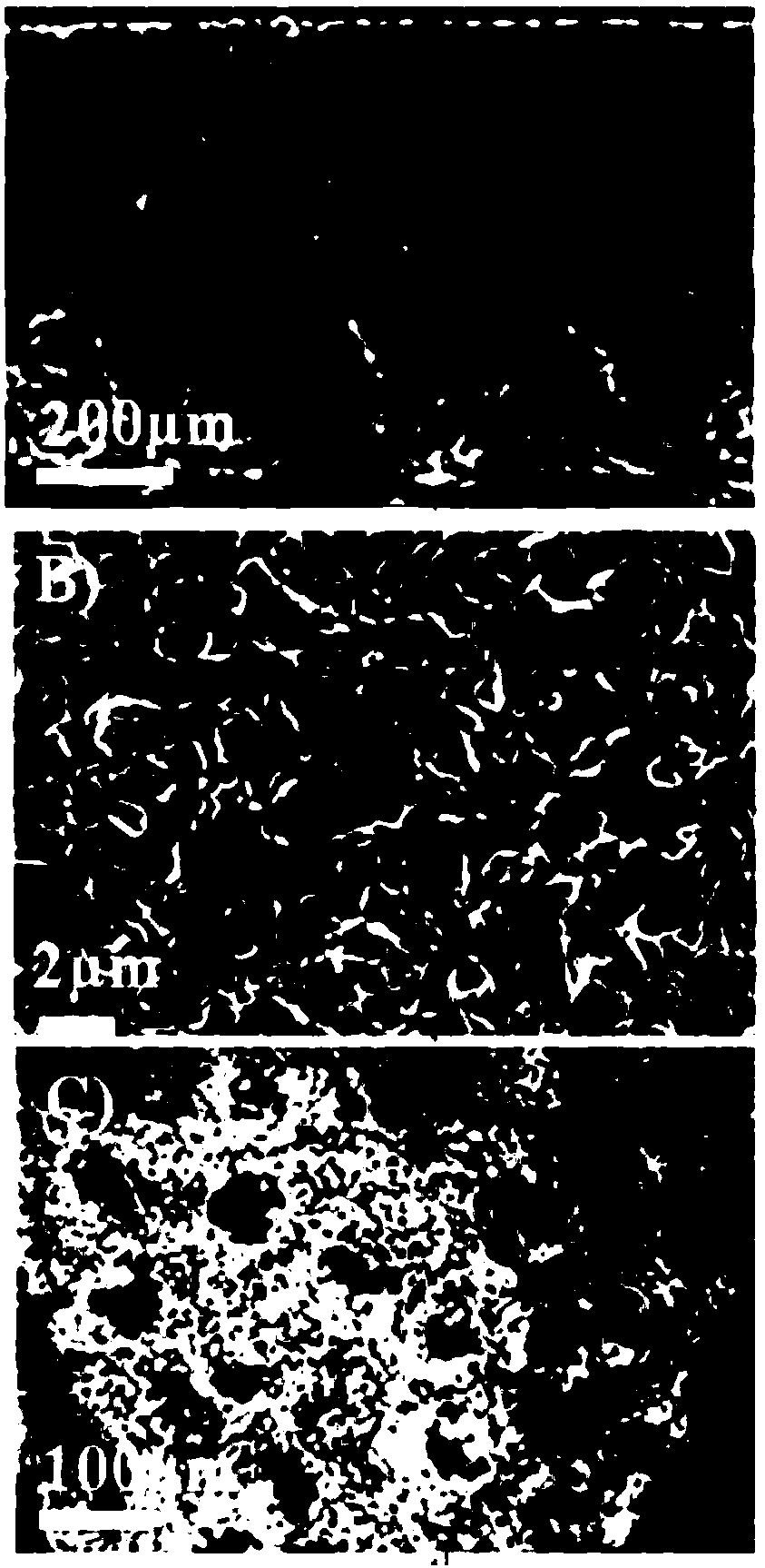 Hydrate gel type filter element and preparation method thereof