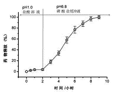 Constant-temperature high-voltage electrostatic spray device and method preparing polymer medicine-carrying nanoparticles by using same