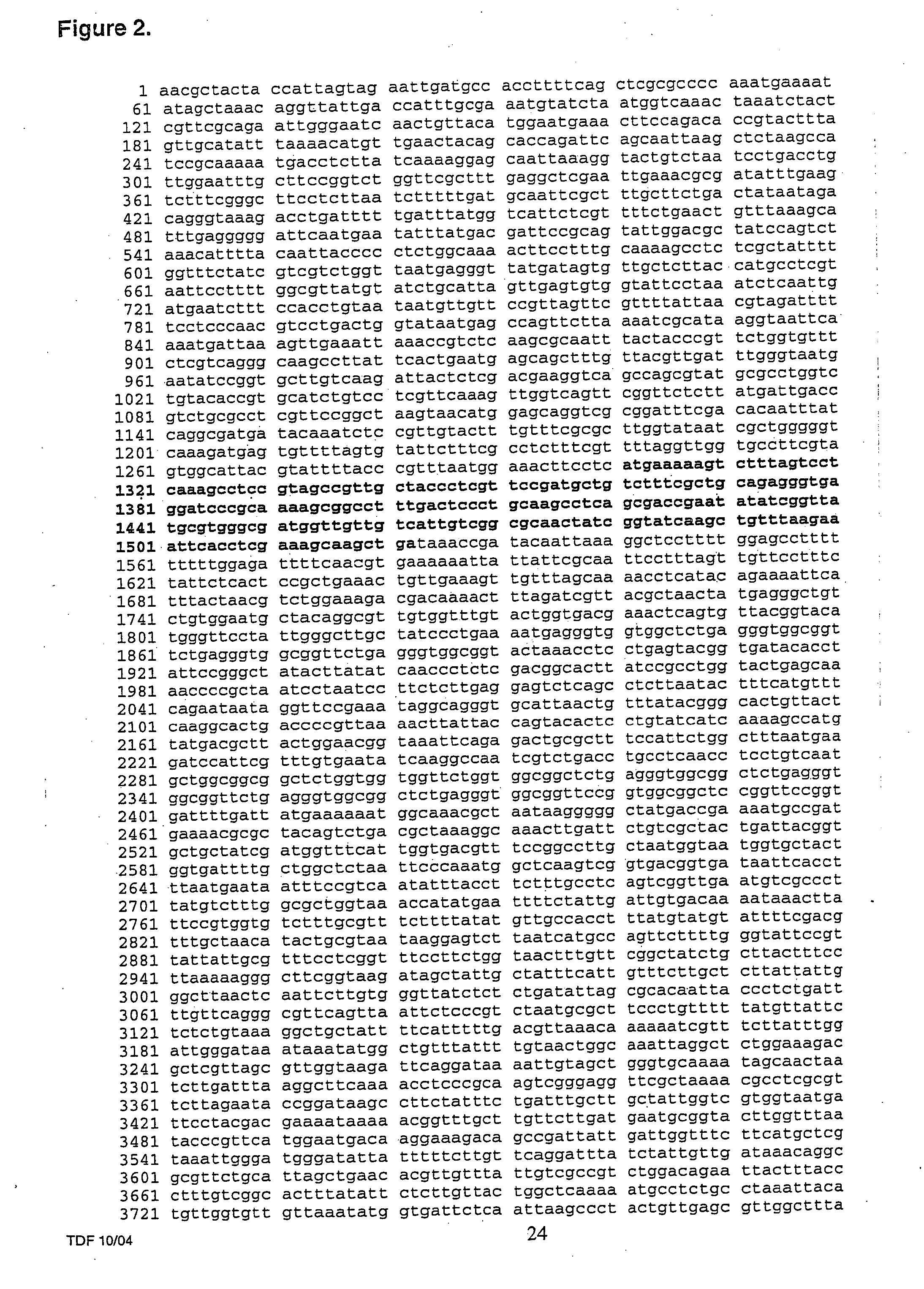 Peptides for selectively and specifically binding Bacillus anthracis spores and use thereof in landscape phages