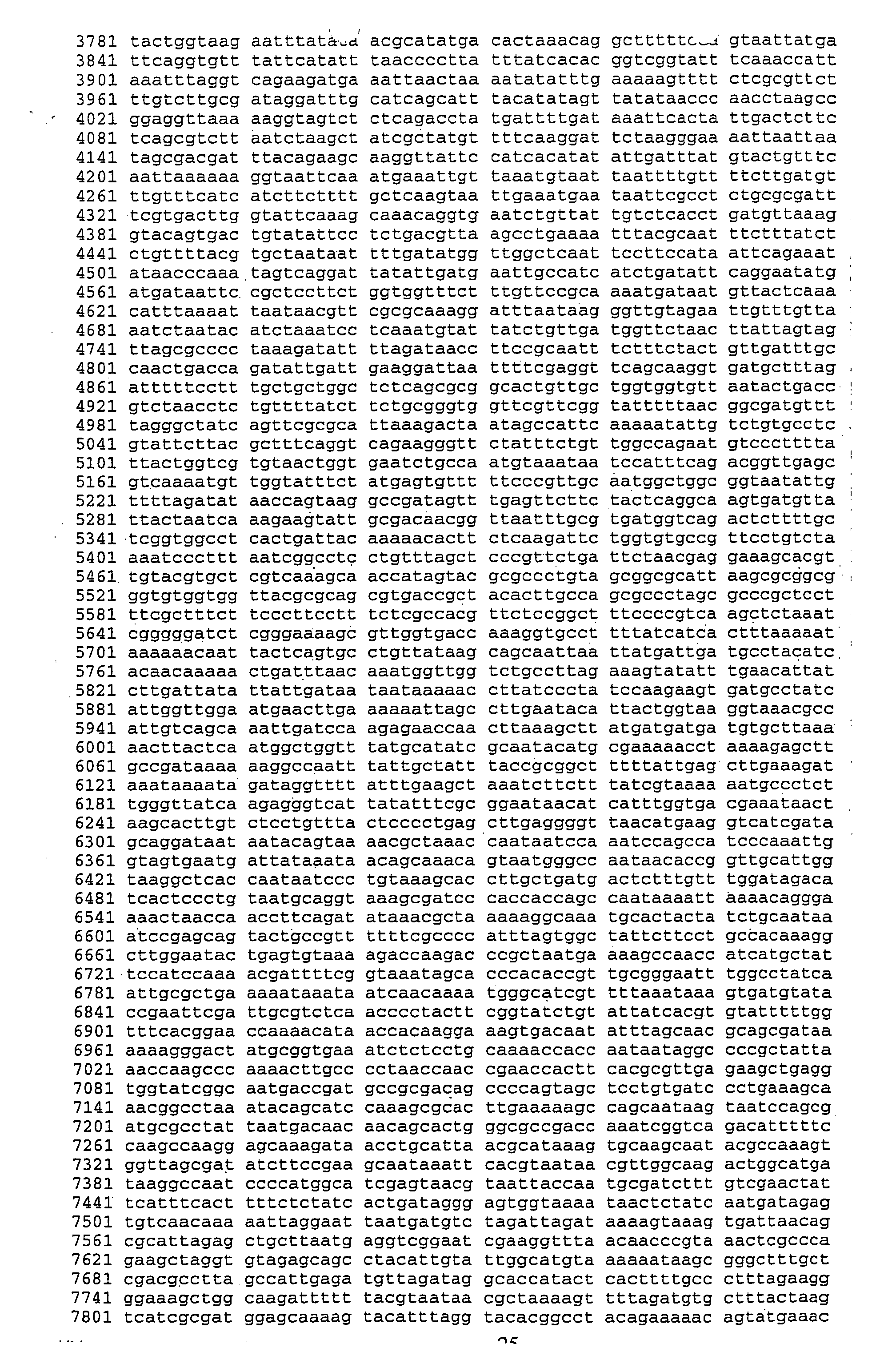 Peptides for selectively and specifically binding Bacillus anthracis spores and use thereof in landscape phages