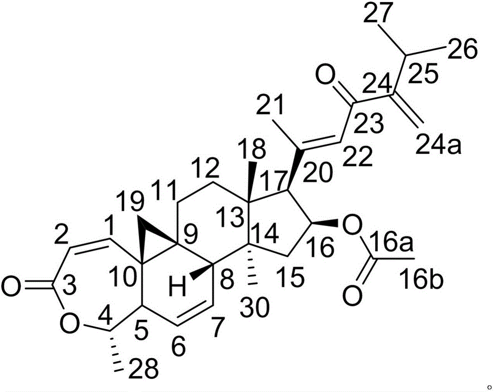 Diflunisal pharmaceutical composition and medical application thereof