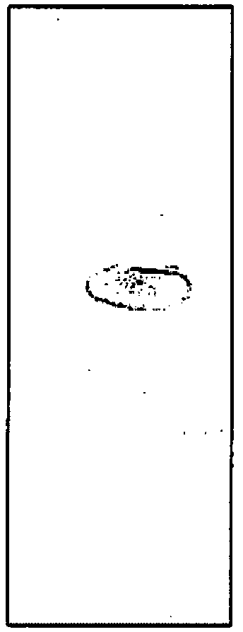 Antituberculosis compositions of byttneria species