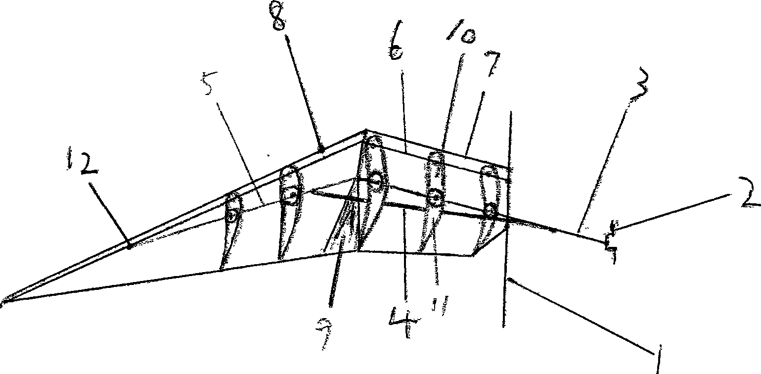 Wing of ornithopter