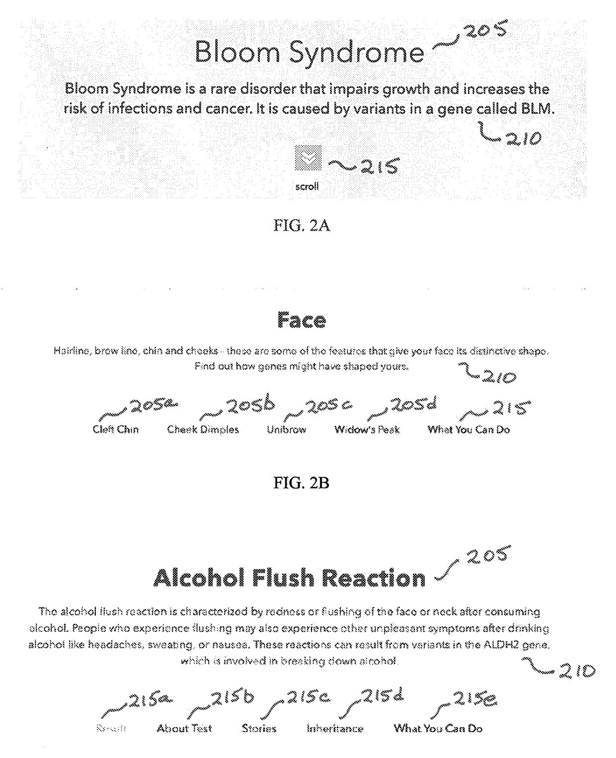 Systems and methods for generating a modular web page template to display personal genetic and physiological condition information