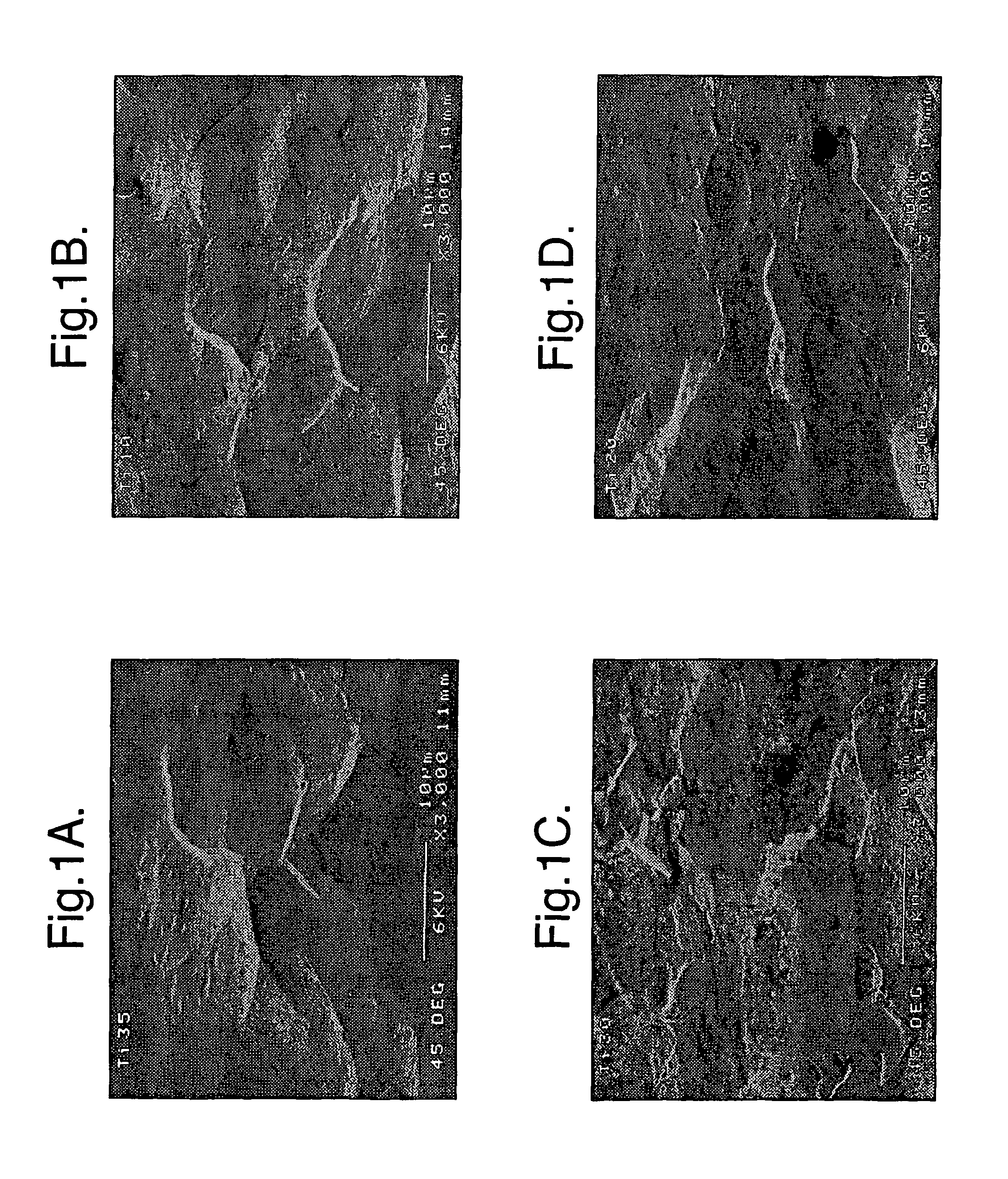 Implants for administering substances and methods of producing implants