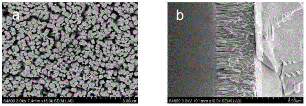 Titanium dioxide nanowire array film, and preparation and application thereof