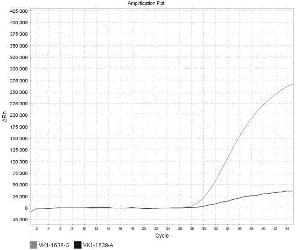 Method for detecting VKORC1 gene polymorphism and nucleic acid probe and kit used in method