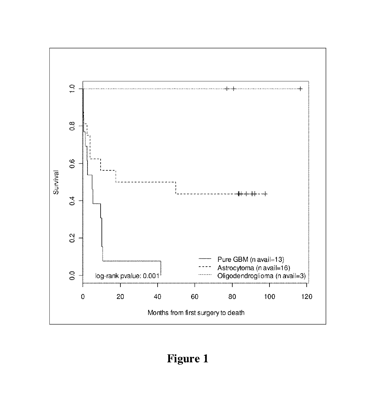 EGFR and pten gene alterations predicts survival in patients with brain tumor