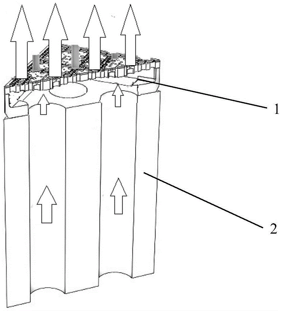 A fuel assembly lower nozzle for balancing the flow of coolant at the core inlet