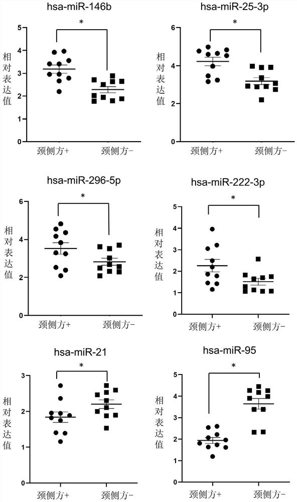 miRNA biomarkers and detection kits for the diagnosis of cervical lymph node metastasis in papillary thyroid carcinoma