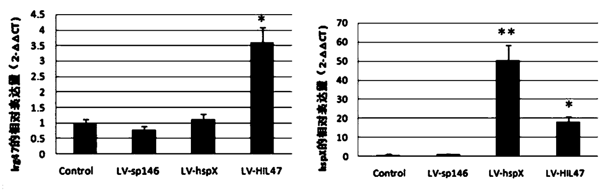 Tuberculosis vaccine and preparation technology thereof