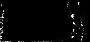 Aspergillus oryzae PRB-1 strain