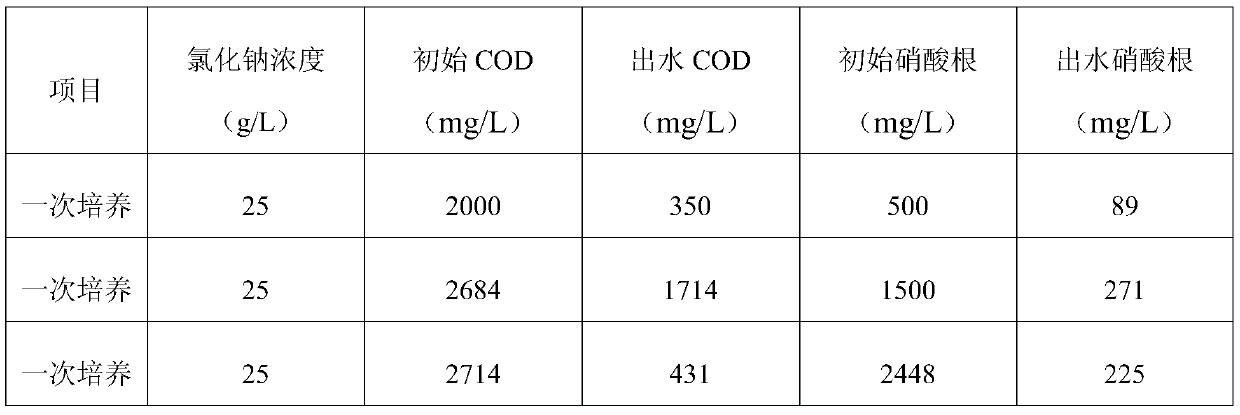 Culture method of halotolerant bacteria capable of removing nitrate in high-salinity solution and application thereof