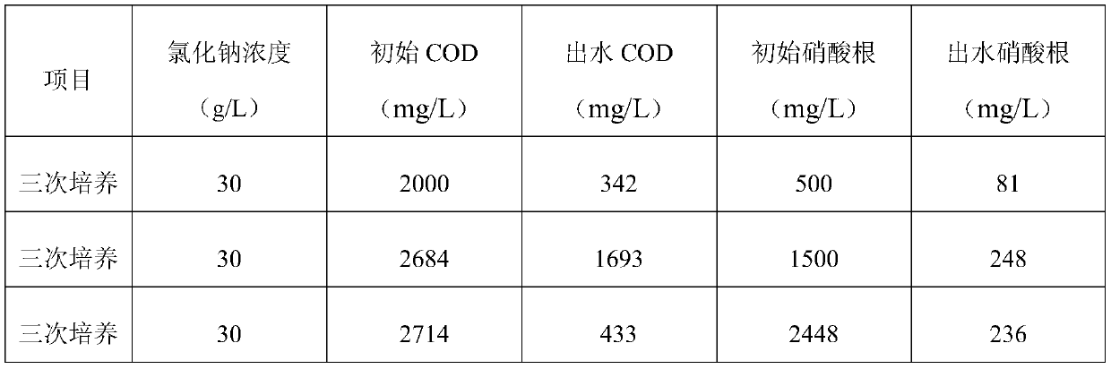 Culture method of halotolerant bacteria capable of removing nitrate in high-salinity solution and application thereof