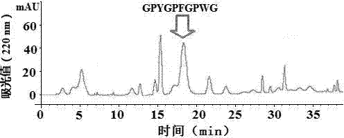 Method for preparing thamnaconus modestus skin zinc phytochelatin