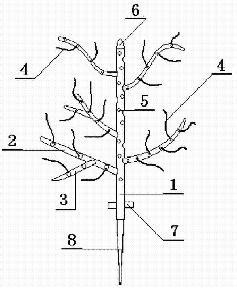 Multifunctional shaping device for shaping of gardening bonsai