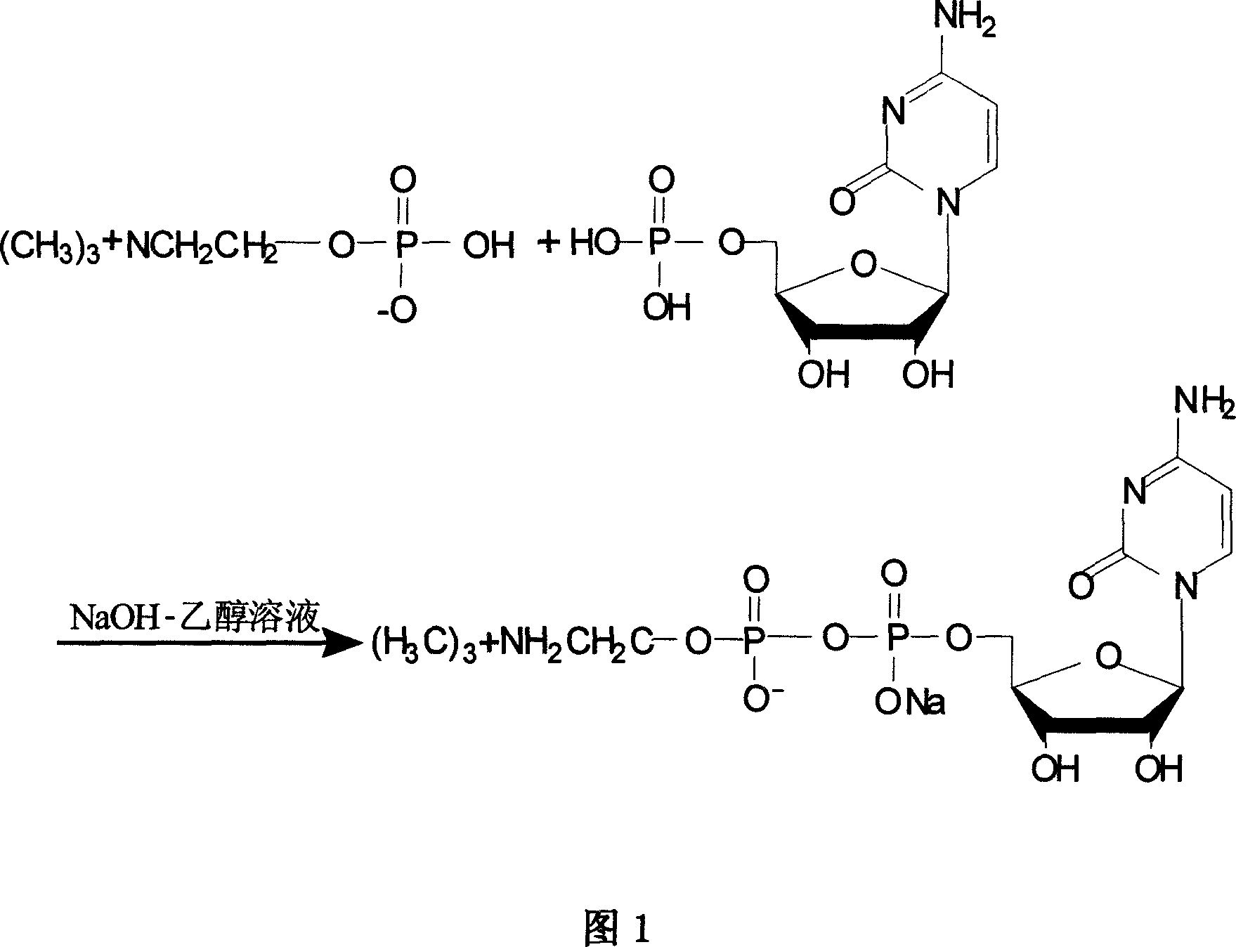 Process for preparing citicoline sodium