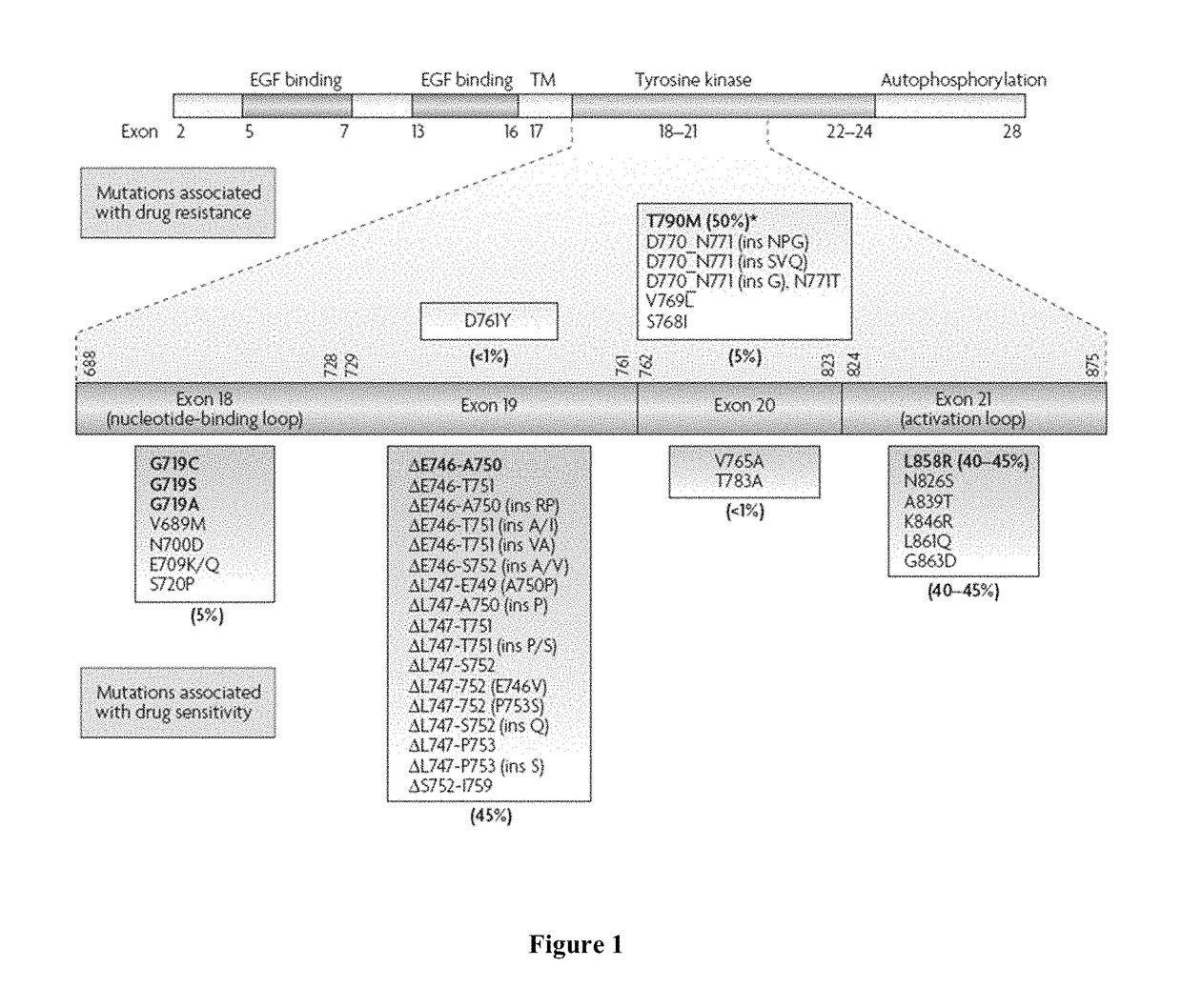 Mutation testing