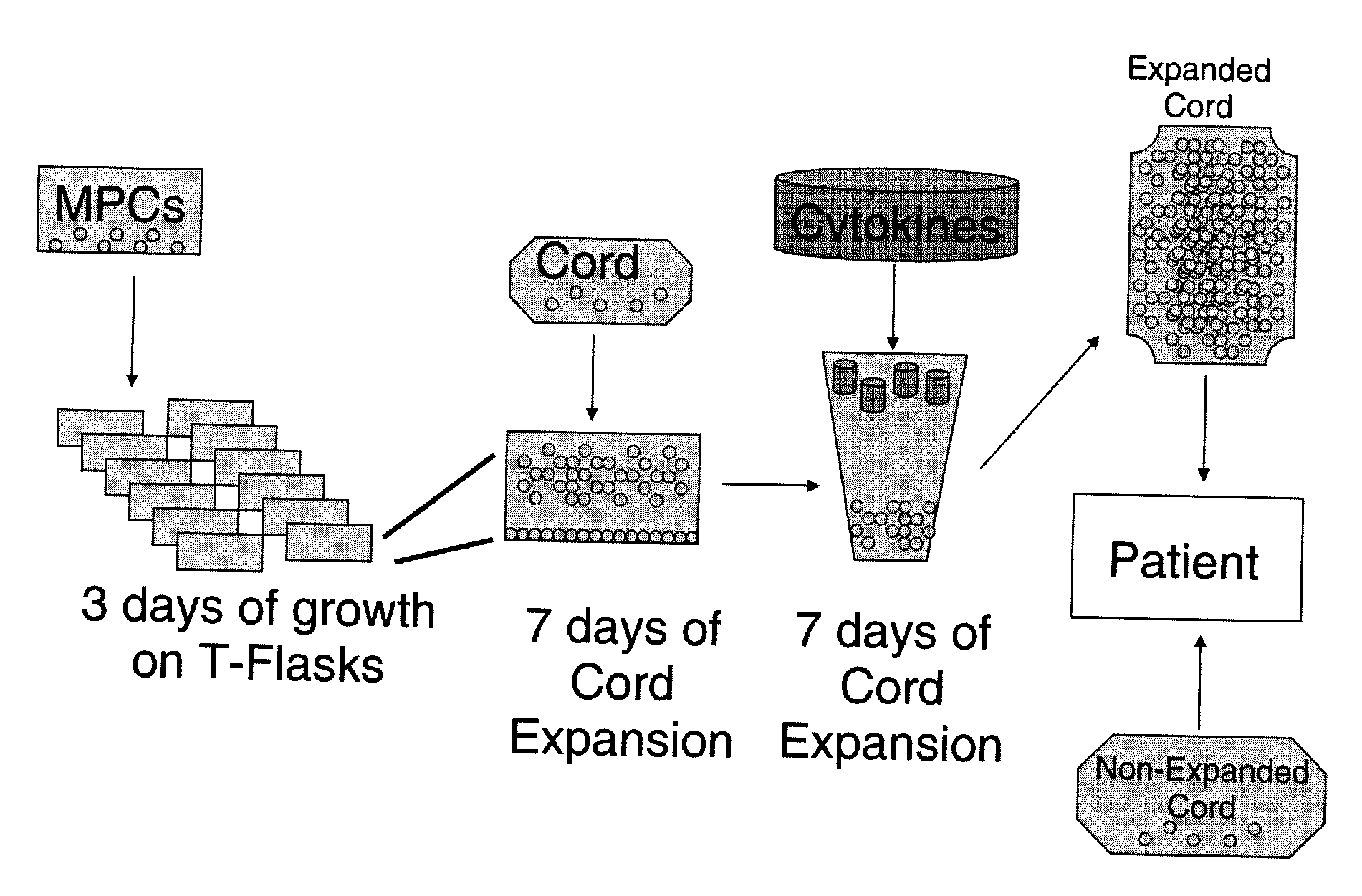 Expansion of haemopoietic precursors