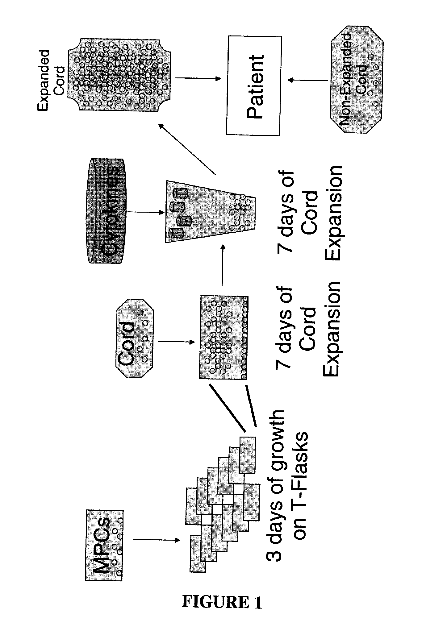Expansion of haemopoietic precursors