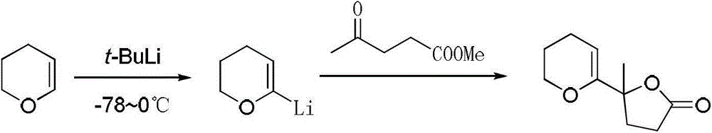 A kind of preparation method of tert-butyllithium solution